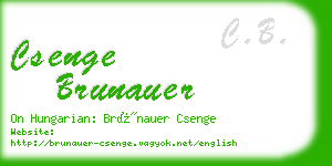 csenge brunauer business card